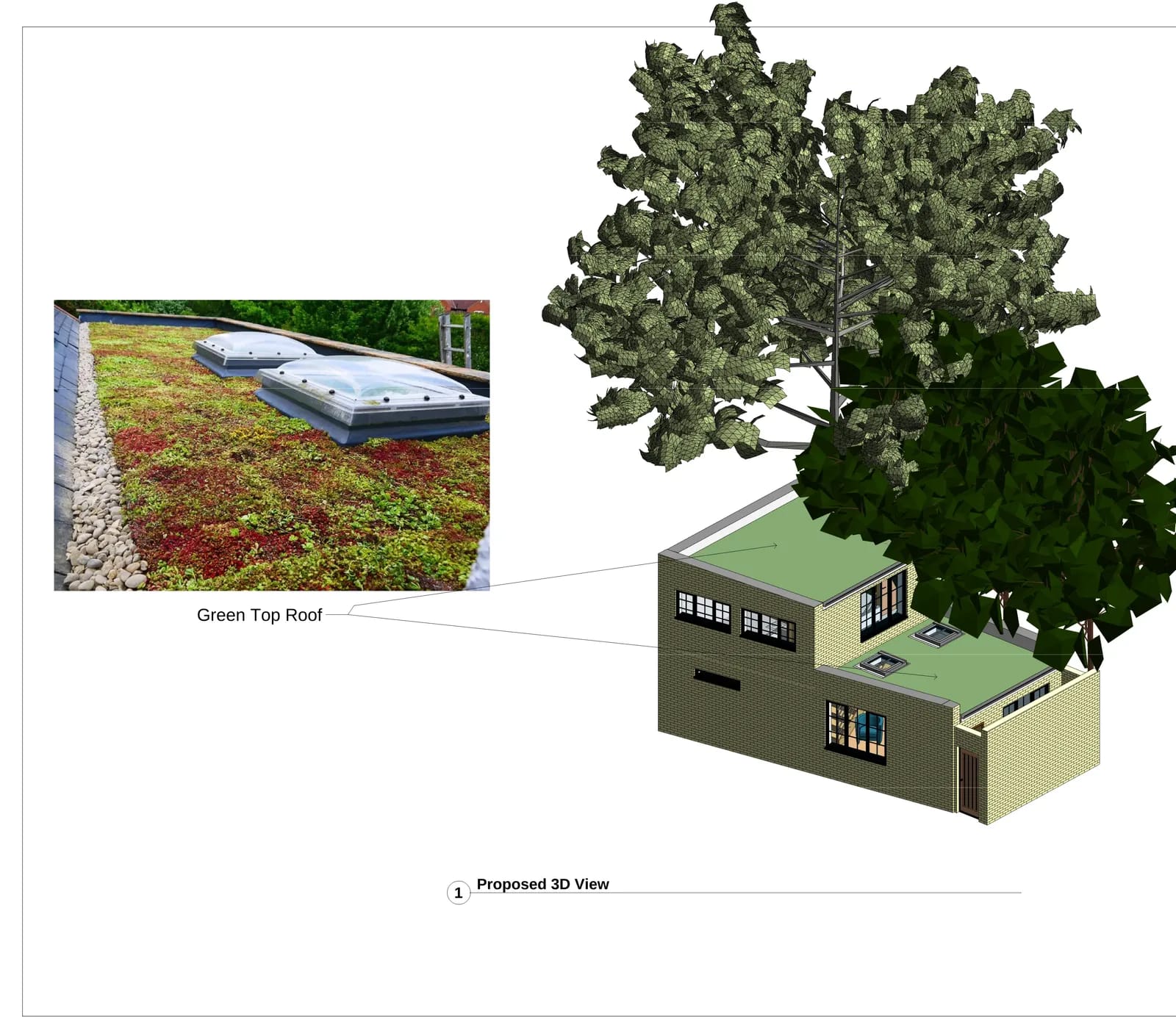 Proposed 3D perspective view showing contemporary design with green living roof, skylights and landscape integration